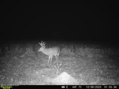 001 Stump Bridge Rd, Canton, MS 39046 photo 7