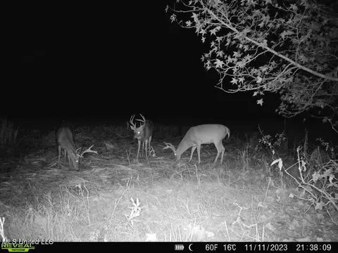 001 Stump Bridge Rd, Canton, MS 39046 photo 14