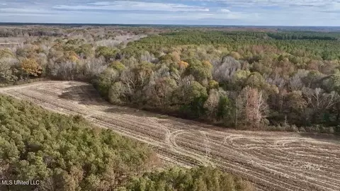 001 Stump Bridge Rd, Canton, MS 39046 photo 18