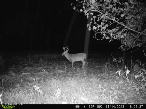 001 Stump Bridge Rd, Canton, MS 39046 photo 16