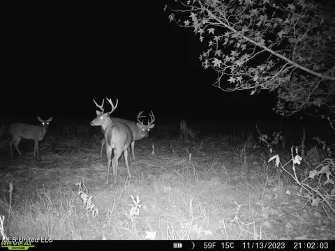 001 Stump Bridge Rd, Canton, MS 39046 photo 10