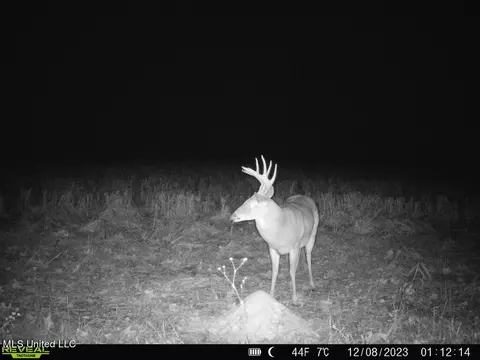 001 Stump Bridge Rd, Canton, MS 39046 photo 20