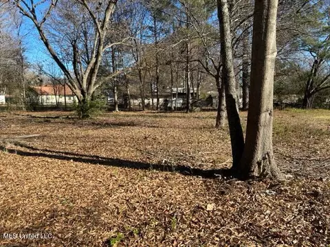 682 Powell St, Coldwater, MS 38618 photo 3