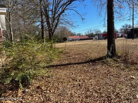 682 Powell St, Coldwater, MS 38618 photo 4