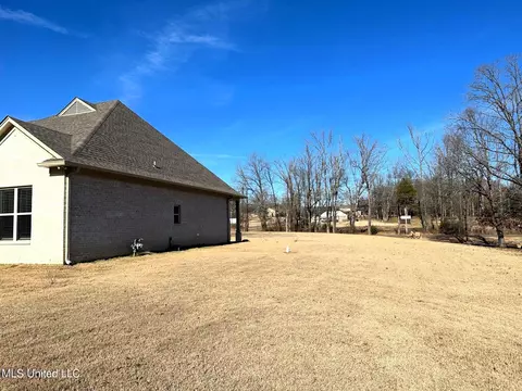 610 Lloyds Ln, Nesbit, MS 38651 photo 4