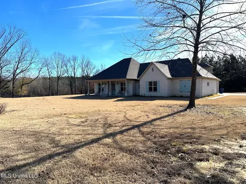 610 Lloyds Ln, Nesbit, MS 38651 photo 2