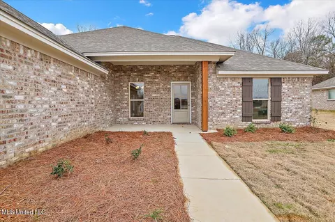 153 Allie Ln, Canton, MS 39046 photo 3