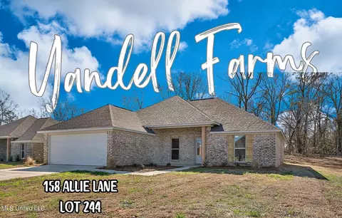158 Allie Ln, Canton, MS 39046