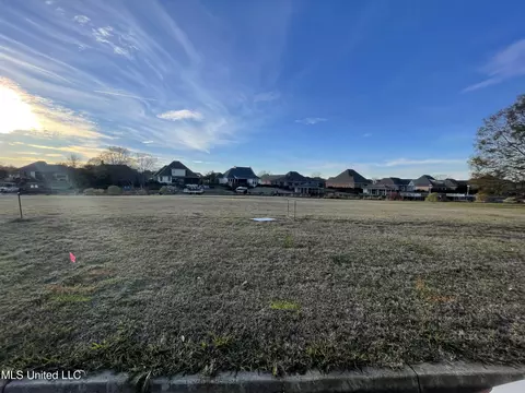 Caroline Pointe Boulevard, Madison, MS 39110 photo 4