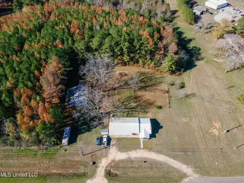 View/Area - 19587 Hwy 35, Mize, MS 39116 photo 1 of 4