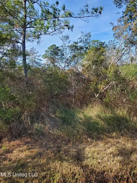 0 Whale Ave, Bay Saint Louis, MS 39520