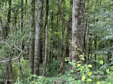 Hwy 35, Carthage, MS 39051