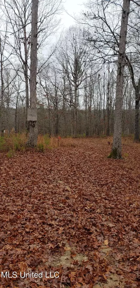 1811 Mcgee Rd, Blue Mountain, MS 38610 photo 15