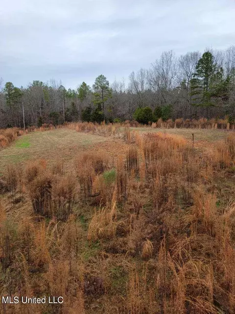 1811 Mcgee Rd, Blue Mountain, MS 38610 photo 17