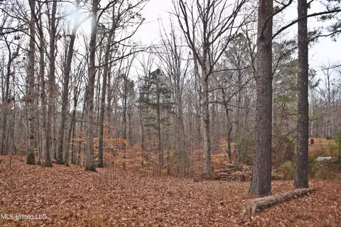 1811 Mcgee Rd, Blue Mountain, MS 38610 photo 9