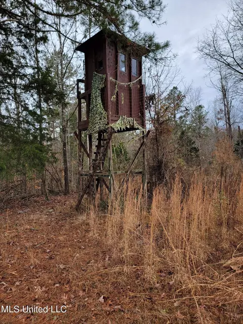 1811 Mcgee Rd, Blue Mountain, MS 38610 photo 16