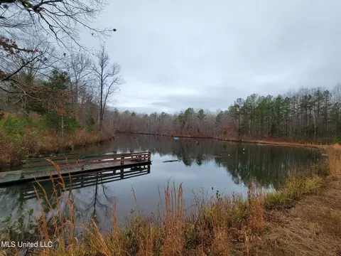 1811 Mcgee Rd, Blue Mountain, MS 38610 photo 11