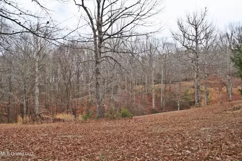 1811 Mcgee Rd, Blue Mountain, MS 38610 photo 10