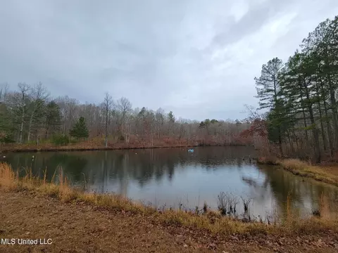 1811 Mcgee Rd, Blue Mountain, MS 38610 photo 12