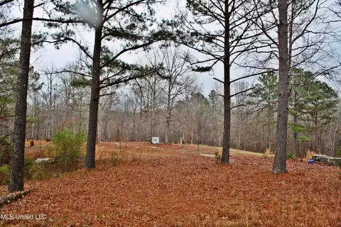 1811 Mcgee Rd, Blue Mountain, MS 38610 photo 8