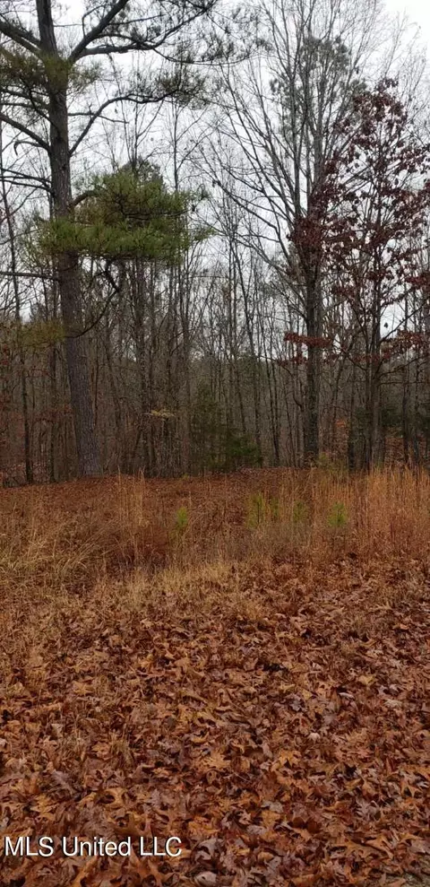 1811 Mcgee Rd, Blue Mountain, MS 38610 photo 14