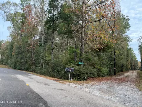 Inside Road, Picayune, MS 39466 photo 3