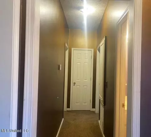 7 Watersview Cv, Jackson, MS 39212 photo 8