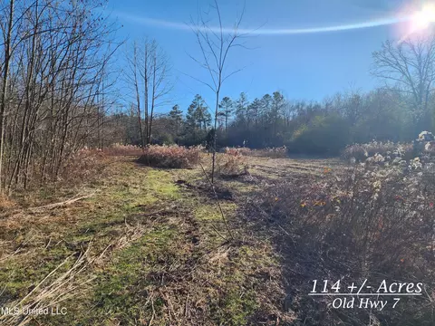 114 Acres Old Hwy 7, Holly Springs, MS 38635