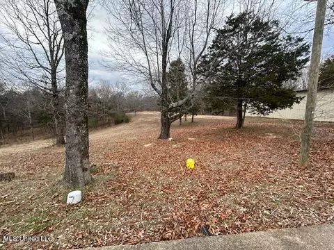 441 Henson Rd, Coldwater, MS 38618 photo 26