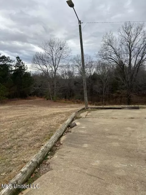 441 Henson Rd, Coldwater, MS 38618 photo 17
