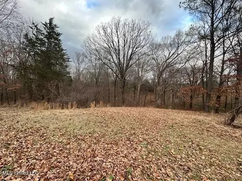 441 Henson Rd, Coldwater, MS 38618 photo 30