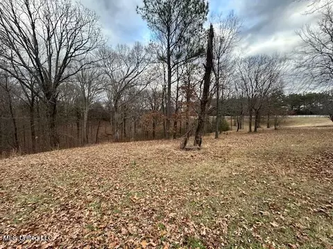 441 Henson Rd, Coldwater, MS 38618 photo 29