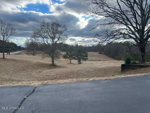 441 Henson Rd, Coldwater, MS 38618 photo 32