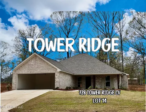 728 Tower Ridge Cv, Pearl, MS 39208