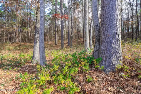 162 Hanover Dr, Brandon, MS 39047 photo 36
