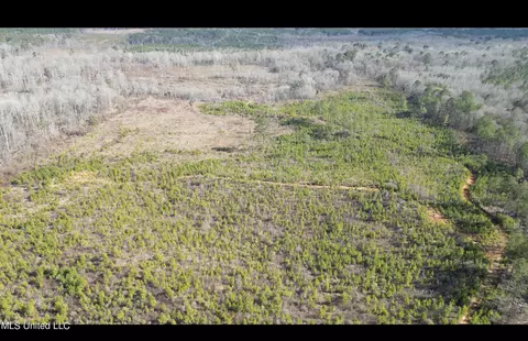 01 Highway 19, Philadelphia, MS 39350