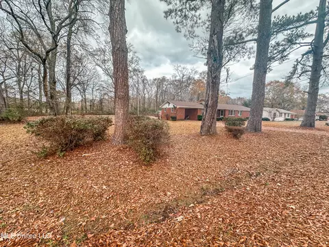 29 Pine St, Pickens, MS 39146 photo 22