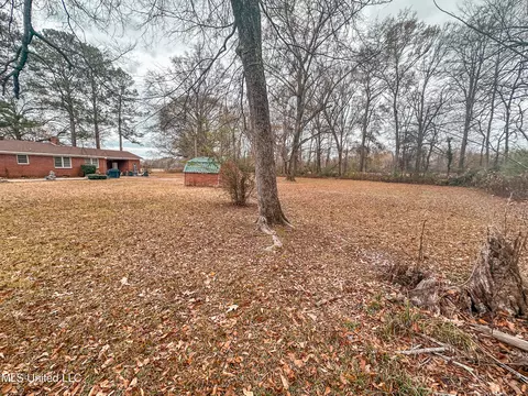 29 Pine St, Pickens, MS 39146 photo 4
