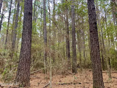 0001 Smith County Road 504, Raleigh, MS 39153