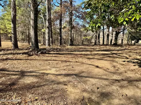 3808 Parks Place Rd, Como, MS 38619 photo 11