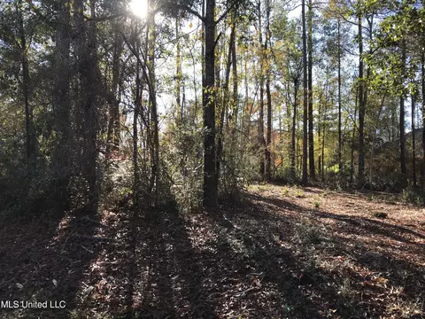 lot10 Makiki Dr, Diamondhead, MS 39525
