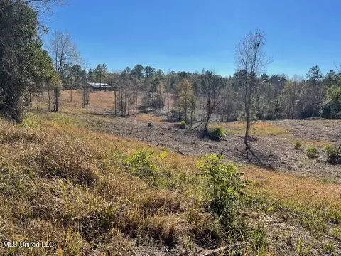 172 Bolen Bryant Rd, Lucedale, MS 39452 photo 10