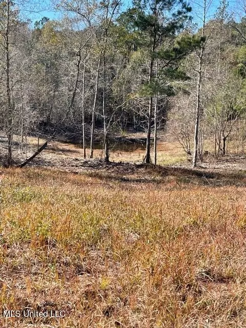 172 Bolen Bryant Rd, Lucedale, MS 39452 photo 13