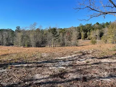 172 Bolen Bryant Rd, Lucedale, MS 39452 photo 11
