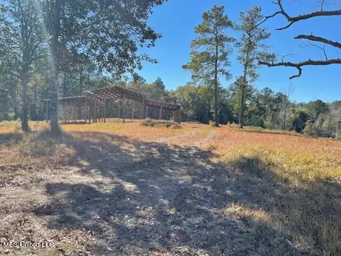 172 Bolen Bryant Rd, Lucedale, MS 39452 photo 9