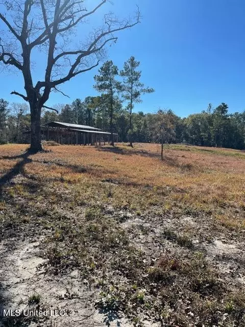 172 Bolen Bryant Rd, Lucedale, MS 39452 photo 12