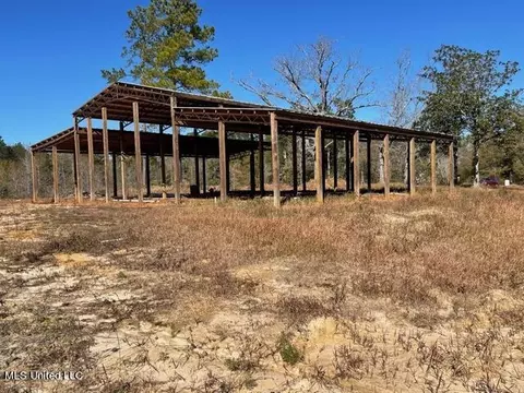 172 Bolen Bryant Rd, Lucedale, MS 39452 photo 6