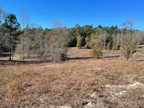 172 Bolen Bryant Rd, Lucedale, MS 39452 photo 14