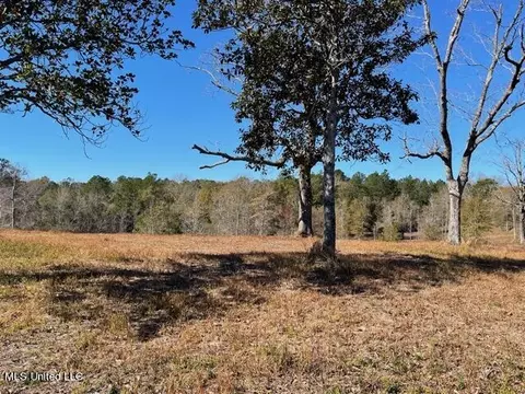 172 Bolen Bryant Rd, Lucedale, MS 39452 photo 8