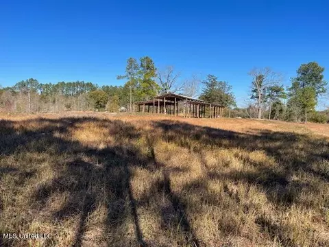172 Bolen Bryant Rd, Lucedale, MS 39452 photo 3